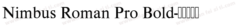 Nimbus Roman Pro Bold字体转换